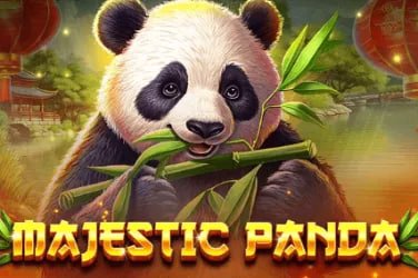Proses verifikasi dan keamanan akun paitosdy